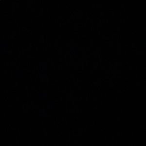 Meet your Posher, Kacey